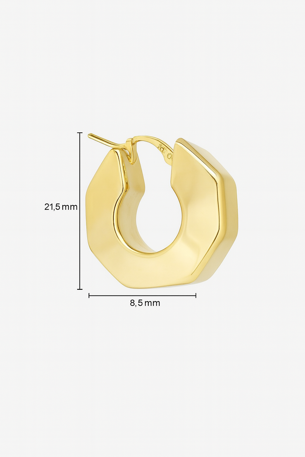 10k Fancy Hoop Earrings