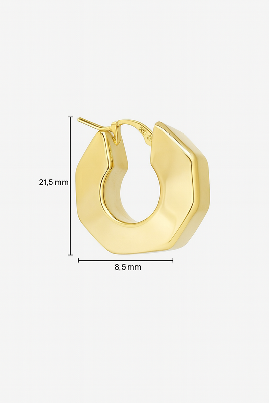 10k Fancy Hoop Earrings